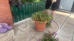 Хроника дня!👍❤️🤗🤗