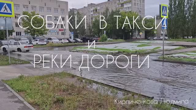 Собаки в такси Реки-дороги Ливнёвка Любимый Нижний смотреть онлайн