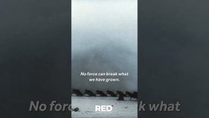 The Reds - Rise Up