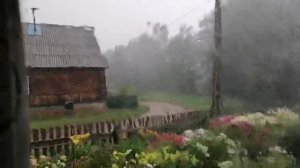 Вот так и живём... Август 2025 года. Первая половина