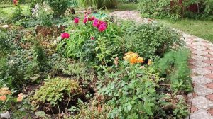 Это делаю во время дождей.