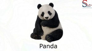 Урок 1. Изучаем животных.