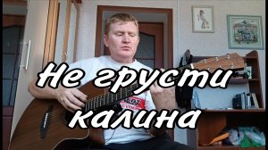 🟡Калина грустная такая склонила ветви над ручьём. Песни под гитару.