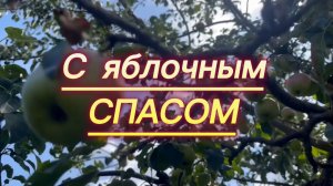 С яблочным спасом. 19 августа Яблочный Спас.