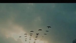 Осень рыжая подружка.