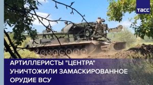 Артиллеристы "Центра" уничтожили замаскированное орудие ВСУ