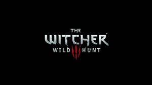 Прохождение The Witcher 3 Wild Hunt #20 - Высокие ставки