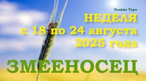 ЗМЕЕНОСЕЦ | ТАРО прогноз на неделю с 18 по 24 августа 2025 года