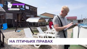 Частные гостиницы и базы отдыха в Ливадии уже в сентябре признают незаконными