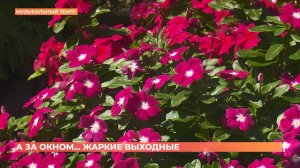 А за окном. 15 августа 2025