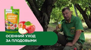 Осенний уход за плодовыми