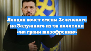 Лондон хочет смены Зеленского на Залужного из-за политики «на грани шизофрении»