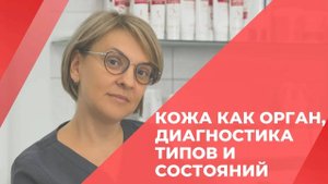 Анатомия, различные типы состояний и диагностика своей кожи. Принципы восстановления