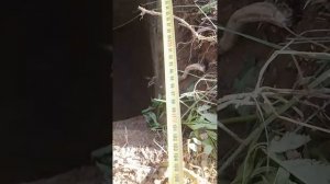 фитнес тренеровка