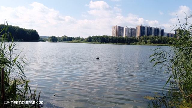 Подарок тестю смотреть онлайн