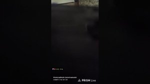 чуток вчерашнего стрима