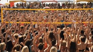 Получи продвижение сайта по сео бонусом!