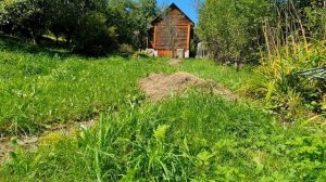 Ручьём звенит ночная тишина...