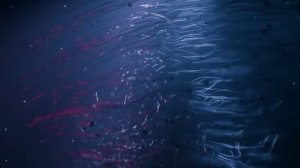 Великие монстры Вселенной - Принцип Ландауэра