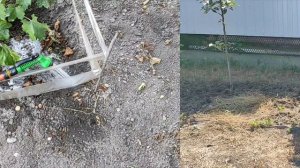 13-14 августа 2025