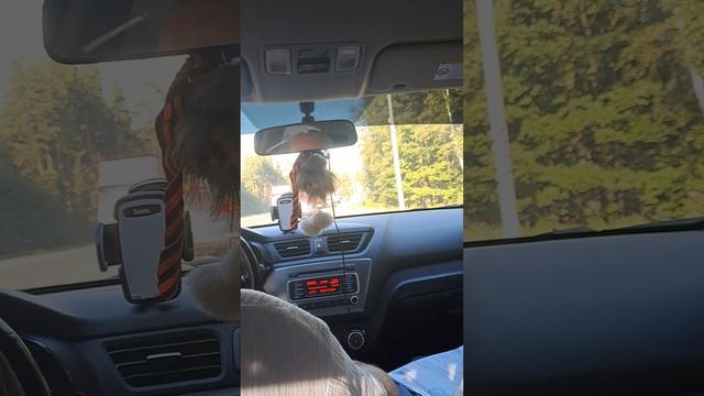 🤍🩶🩶🤍 смотреть онлайн