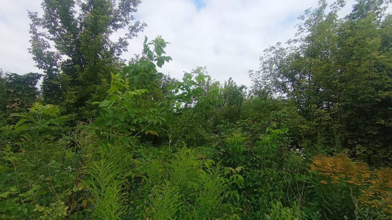 СНТ Медик смотреть онлайн