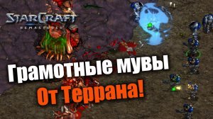 JD в кондиции или как правильно подниматься к люркерам: Starcraft: Remastered