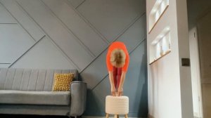 Тест на гибкость позвоночника (1)