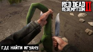 Где найти Игуану в Red Dead Redemption 2