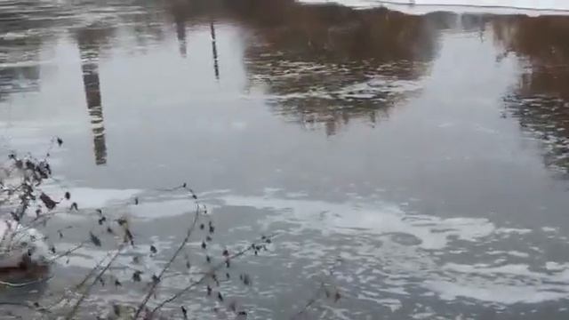 Как травят Клязьму 19.12.2021 смотреть онлайн