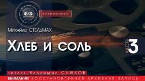 Хлеб и соль - ЧАСТЬ 3 - Михайло СТЕЛЬМАХ (читает Владимир СУШКОВ) | аудиокнига слушать бесплатно