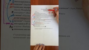 Кондиционер для жирных волос NO