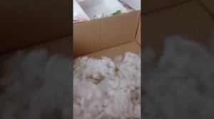 бумажная косметика