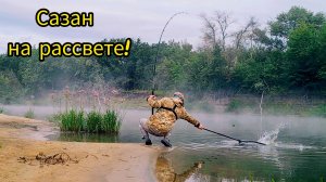 Сазан на рассвете! Рыбалка на реке с ночевкой - донки, туман и мощные поклевки