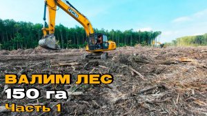 Вырубка леса под аэропорт в г. Владимир 2025. С чего все начиналось?