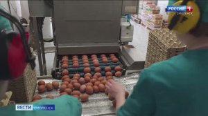 На смоленском предприятии по производству куриных яиц внедрили новые решения