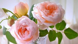 Я на связи)))