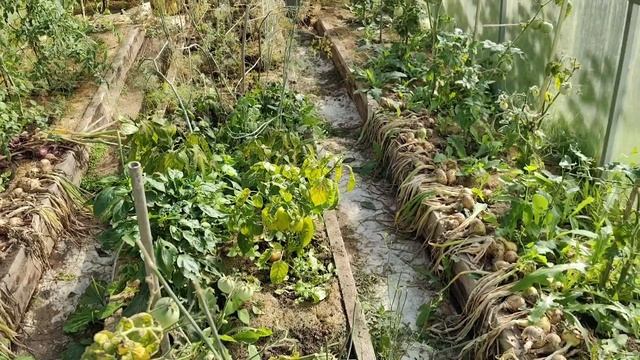 Полёты ,заботы .хлопоты . petal_20250815_185149.mp4 смотреть онлайн