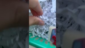 Бумажные собаки 🐶