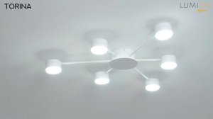 LUMION TORINA 8343/6C