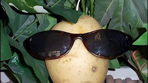 ну да так всегда у меня👺