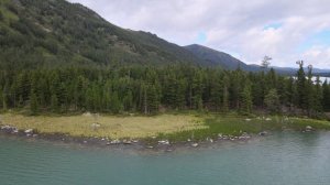 DJI_0094