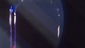 Продукты Iv San Bernard