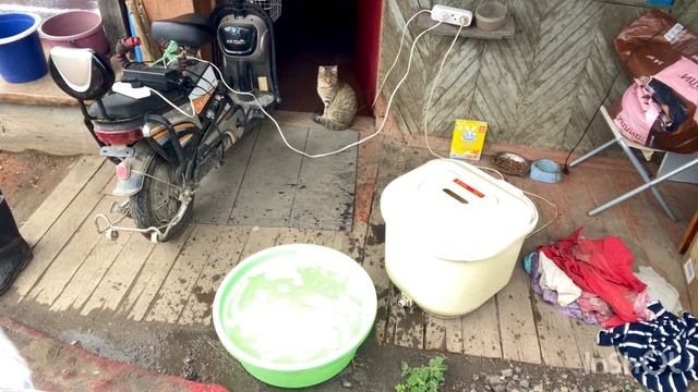 Большая стирка и большой штраф смотреть онлайн