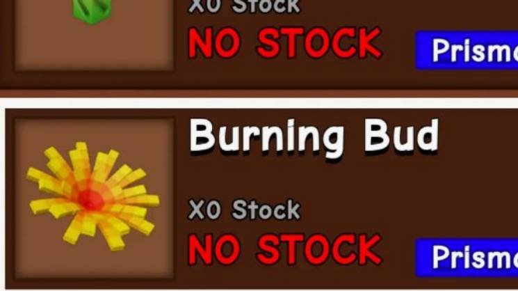 Начало операции ﹤﹤Самый дорогой бурнинг бад﹥﹥ смотреть онлайн