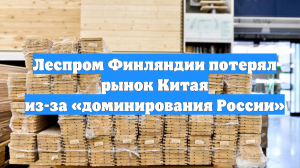 Леспром Финляндии потерял рынок Китая из-за «доминирования России»