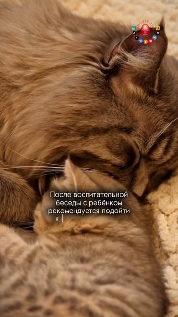 Моменты воспитания...😀