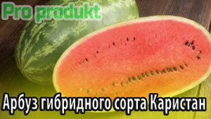 Арбуз гибридного сорта Каристан