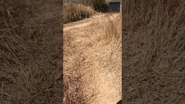 Отличное место на море для отдыха кладоискателя!