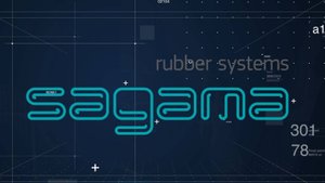 Компания SAGAMA – ведущий отечественный производитель спортивных покрытий и оборудования.
